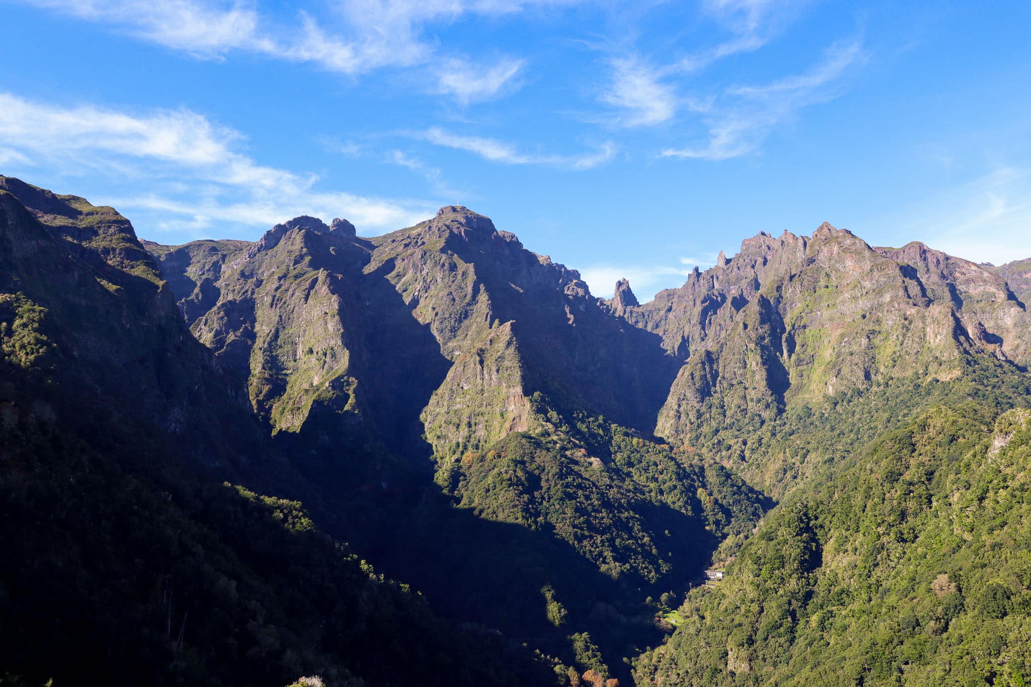 Waldlandschaft mit weitem Blick auf Berge und Täler