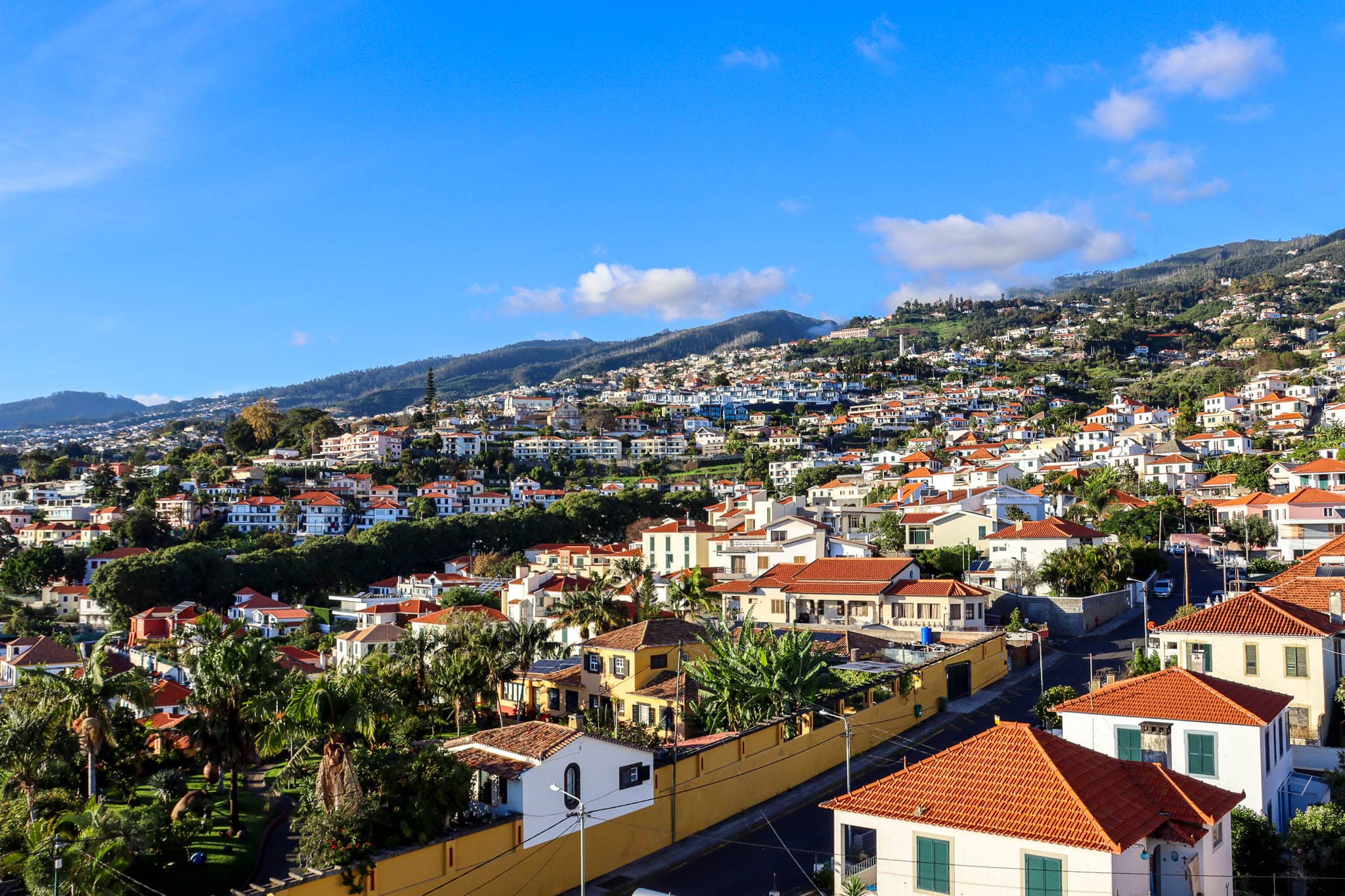 Blick auf die Altstadt von Funchal aus der Höhe