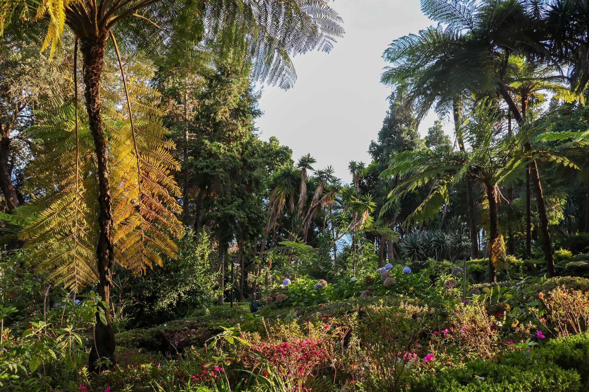 garten.jpg Botanischer Garten mit Palmen und blühender Vielfalt