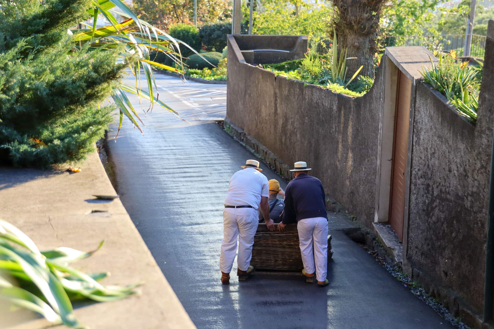 Korbschlittenfahrt auf Madeira Lieblingsspots