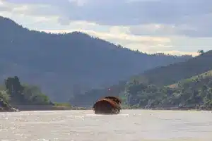 Mekong Berge Boot Laos Dschungel