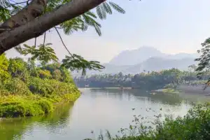 Mekong Ufer Palmen Nebel Luang Prabang Laos