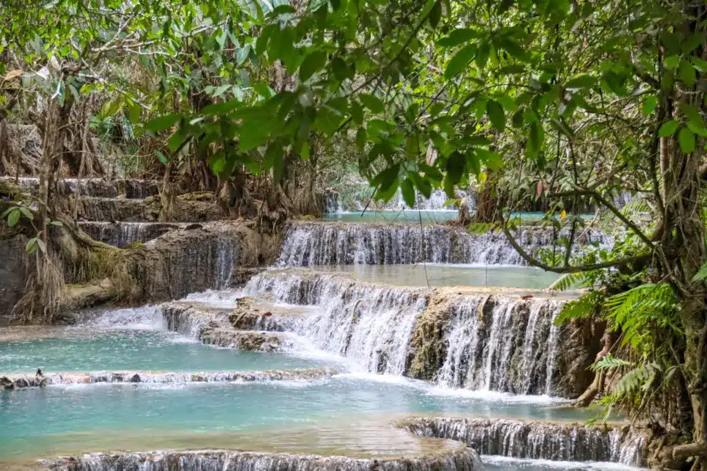 Kuang Si Wasserfall Natur Kaskaden Luang Prabang Laos
