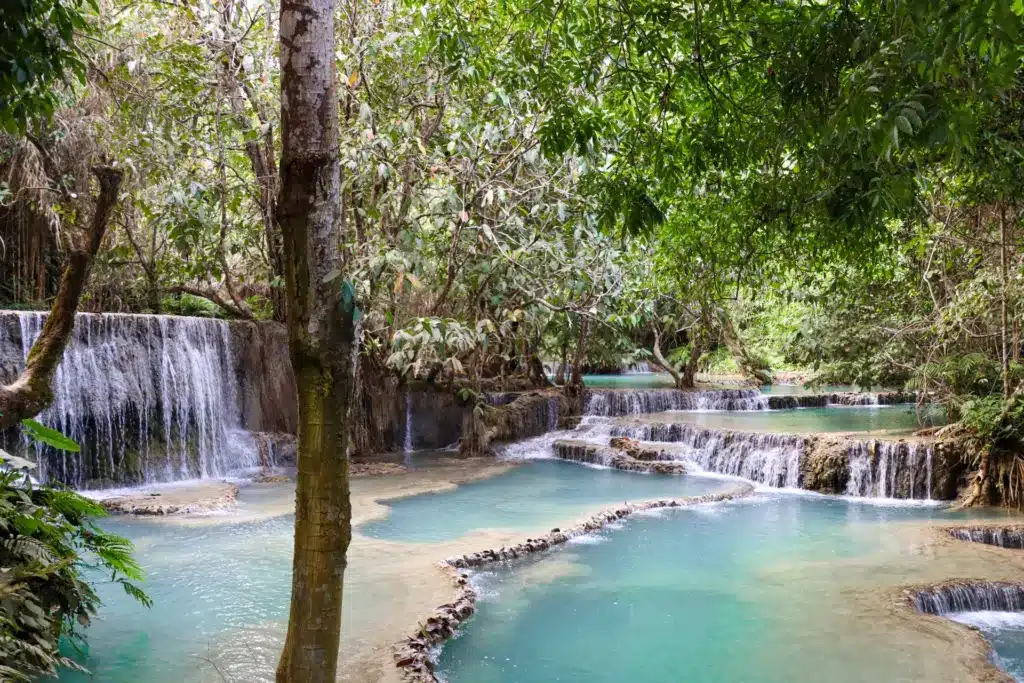 Kuang Si Wasserfall Naturschwimmbad Luang Prabang Laos