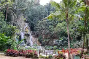 Kuang Si Wasserfall Dschungel Luang Prabang Laos