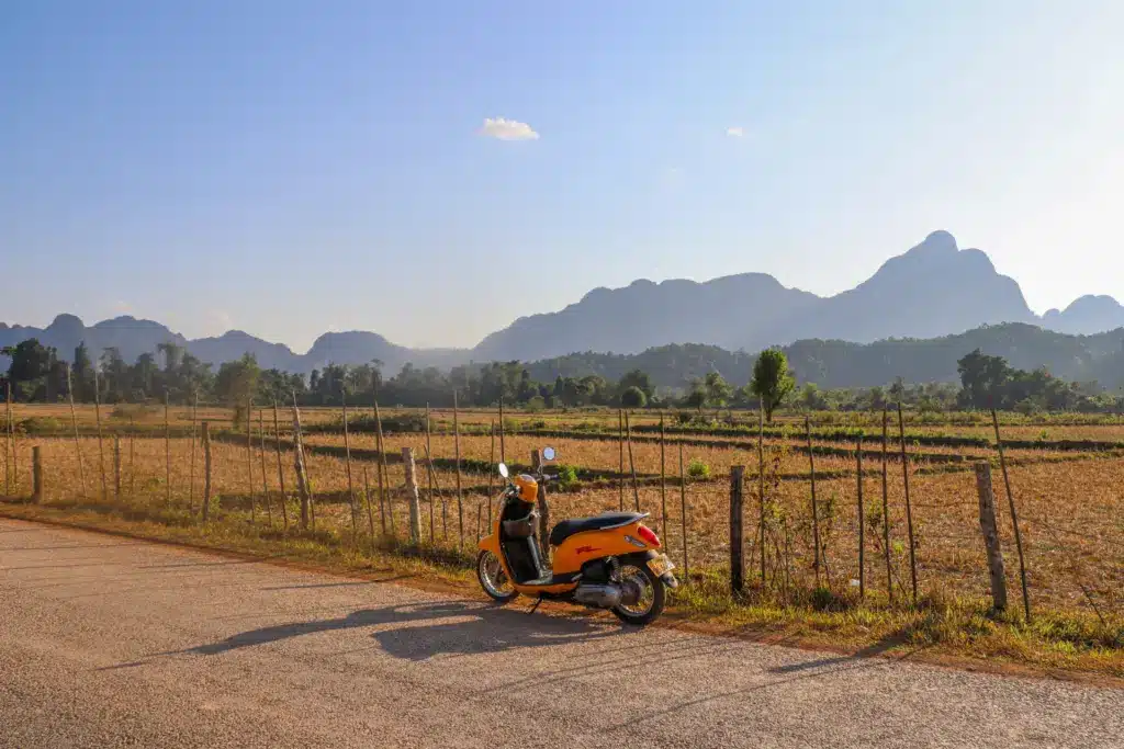 Reisfeld Huegel Kuh Vang Vieng Laos Landleben