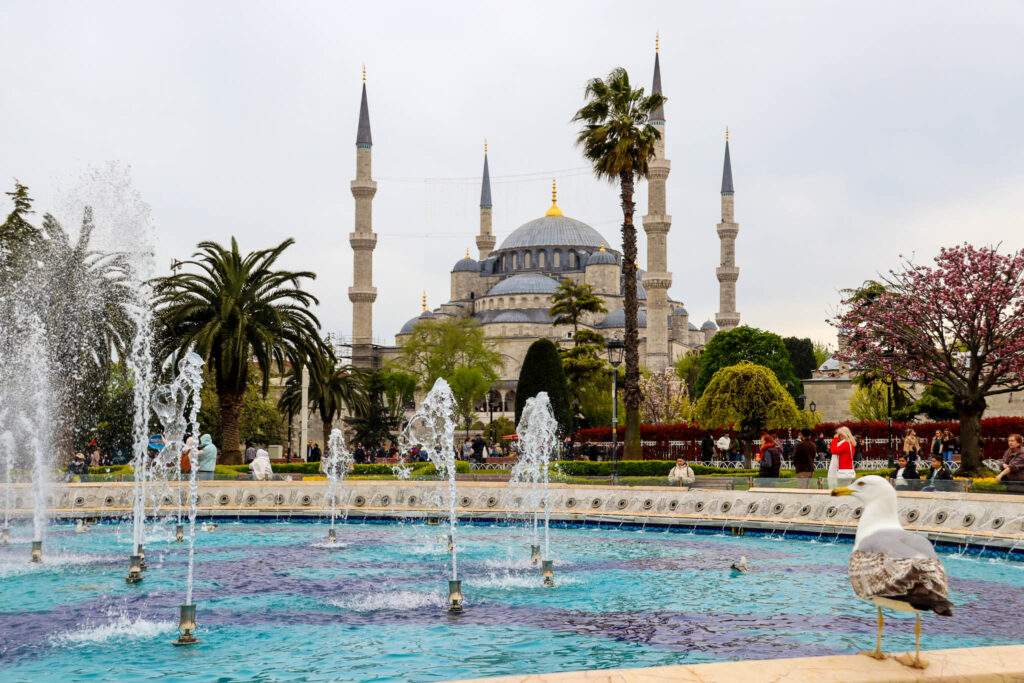 The Blue Mosque (Sultan Ahmed Mosque) rises behind a decorative fountain and palm trees in the Sultanahmet Square on a spring day, Istanbul, Turkey.