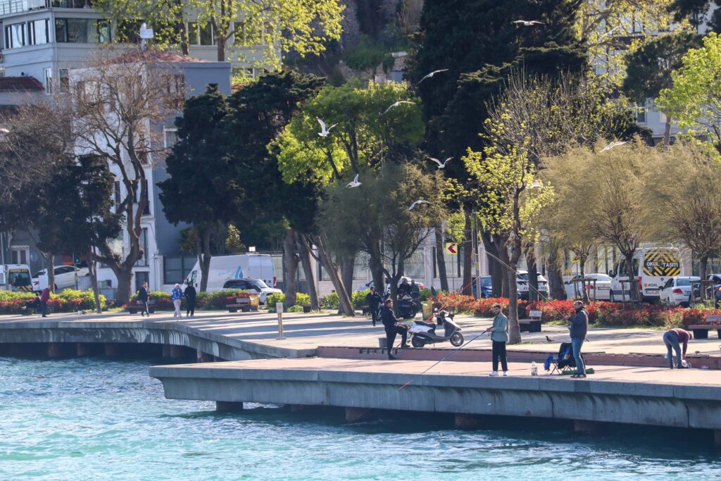A lush green tree-lined Bosphorus shoreline with people enjoying the waterfront park and the suspension bridge visible in the background, Istanbul.