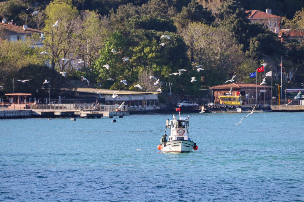 A small vessel navigates the Bosphorus with the green tree-covered shores and suspension bridge stretching across the background, Istanbul, Turkey.